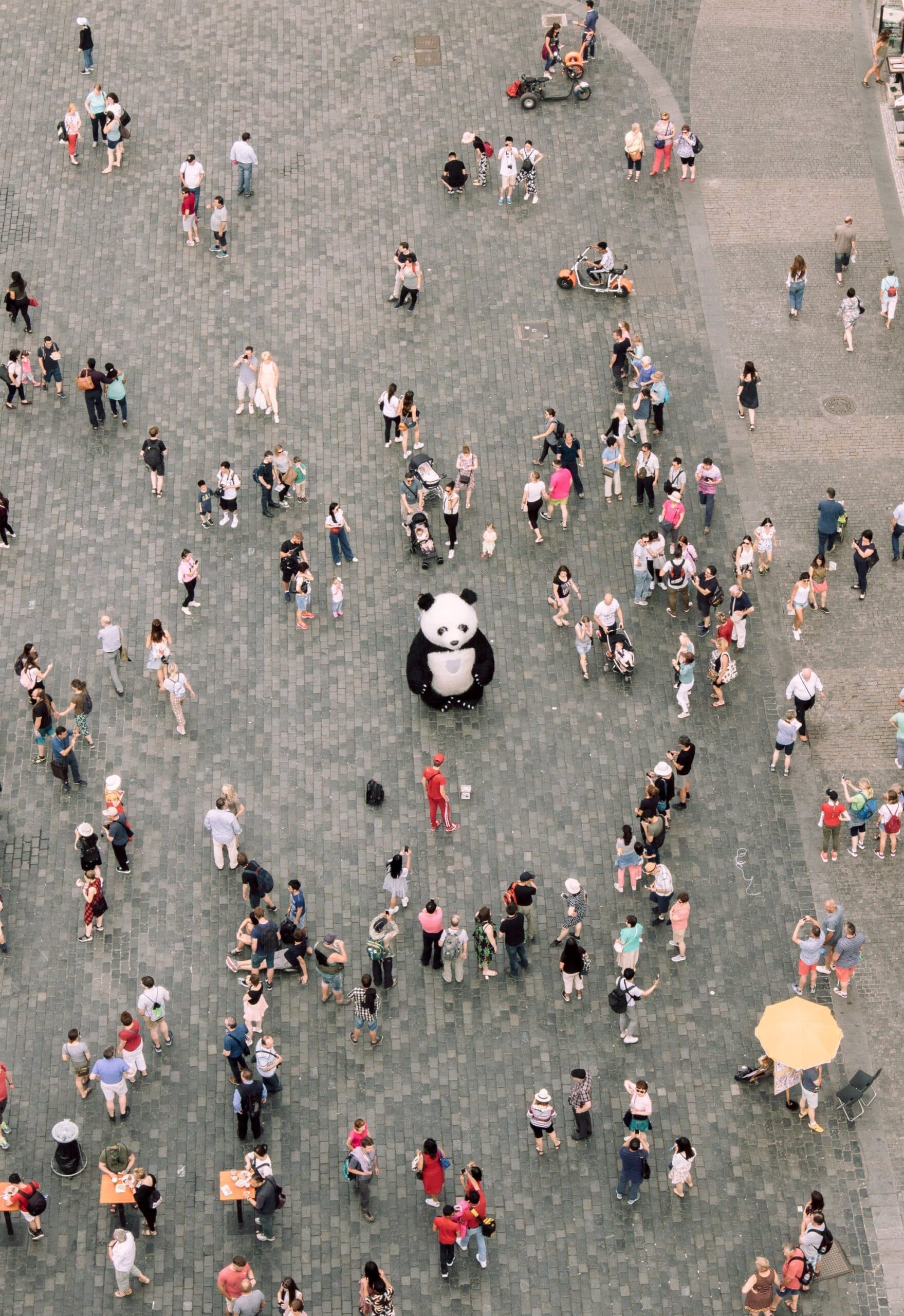 Creating an Impactful and Memorable Consumer Segmentation
