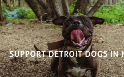 Improving Volunteer Engagement with Market Research