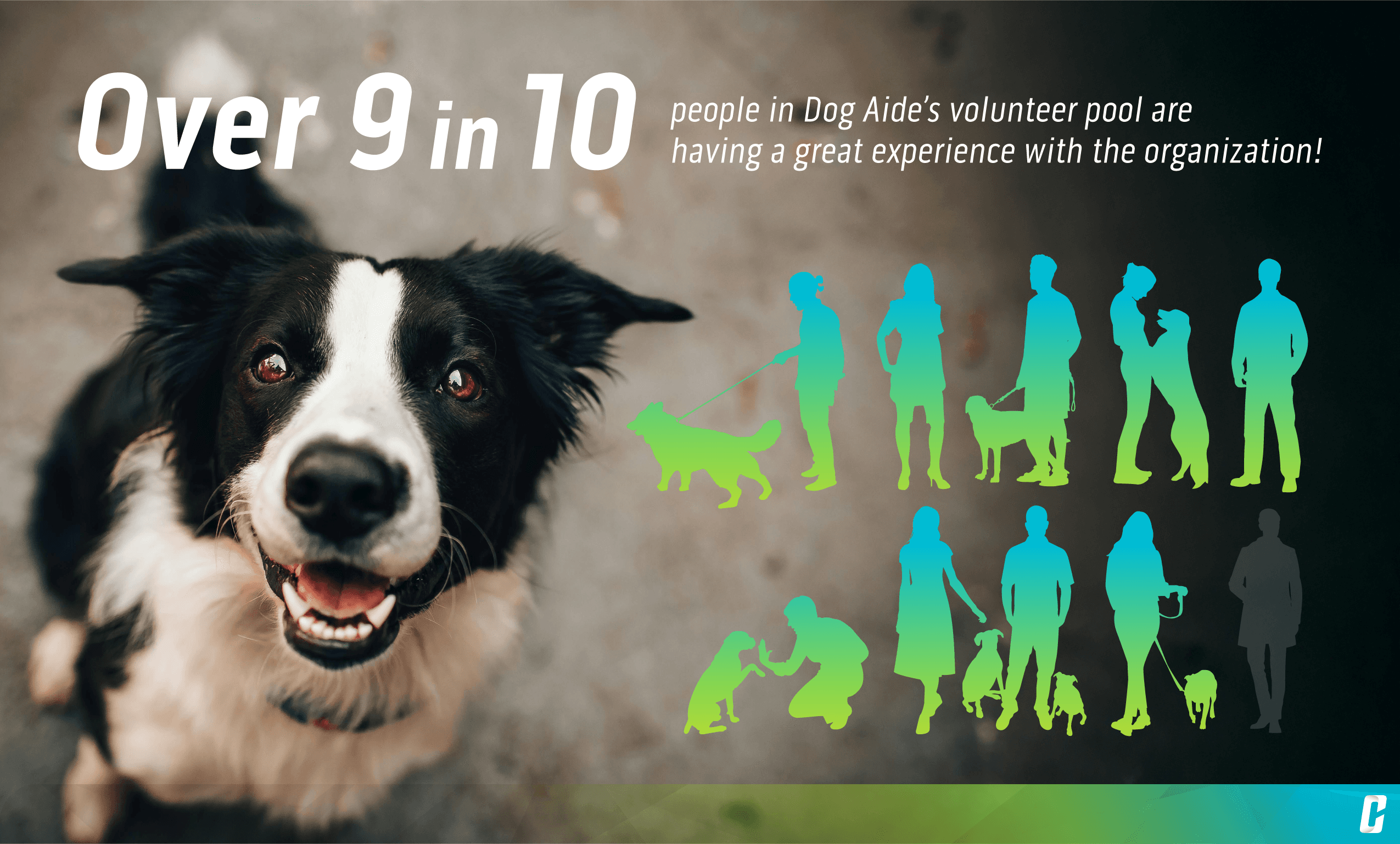 Experience Satisfaction Non-Profit Research
